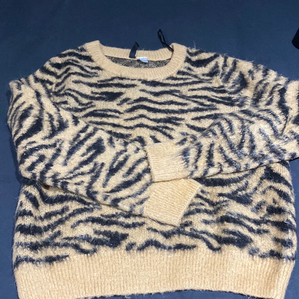 H&M Zebra Sweater